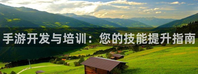 巅峰国际登录：手游开发与培训：您的技能提升指南