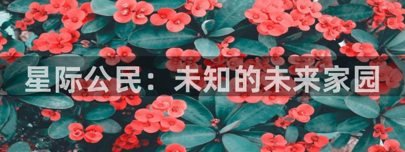 巅峰国际app：星际公民：未知的未来家园