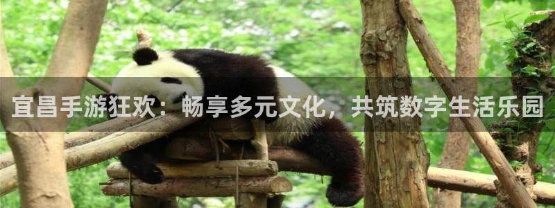 巅峰国际首页：宜昌手游狂欢：畅享多元文化，共筑数字生活乐园