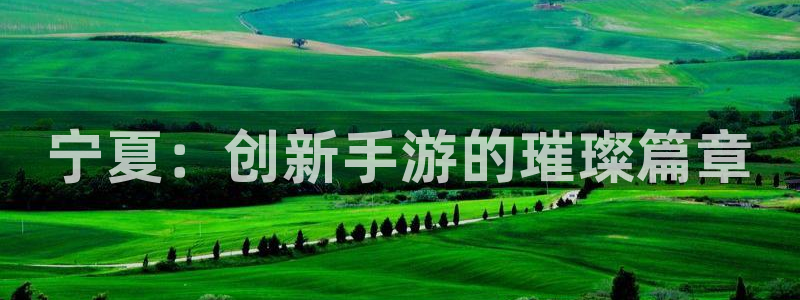 巅峰国际：宁夏：创新手游的璀璨篇章