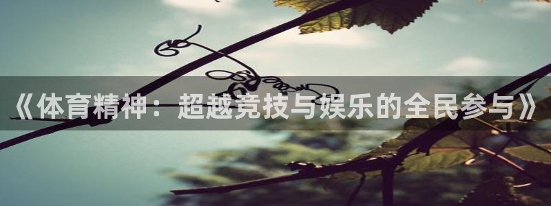 皇冠277体育：《体育精神：超越竞技与娱乐的全民参与》