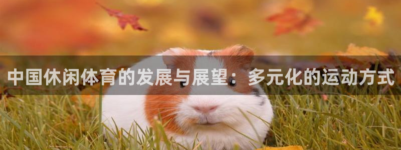 77体育官网