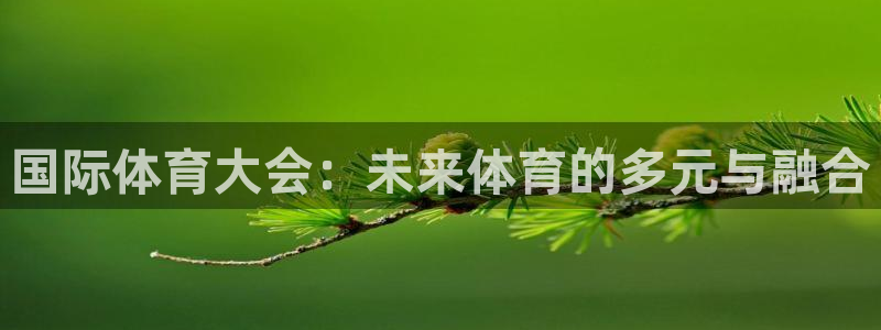 77体育app下载官网