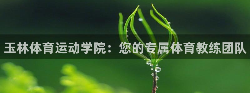 77体育官网