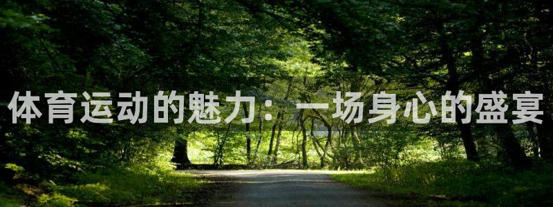 77体育官网：体育运动的魅力：一场身心的盛宴