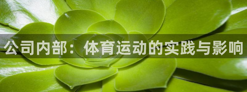 77体育app下载官网：公司内部：体育运动的实践与影响